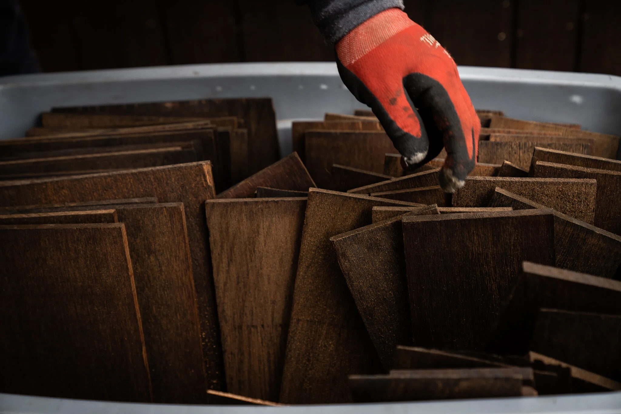 Copy of DSC00217.jpg