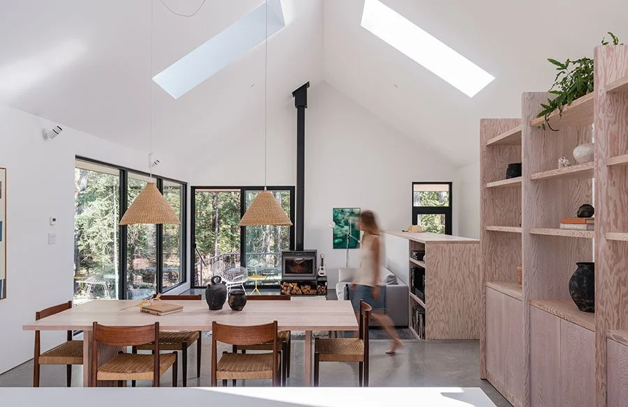 Hunting for George Features Forest House
