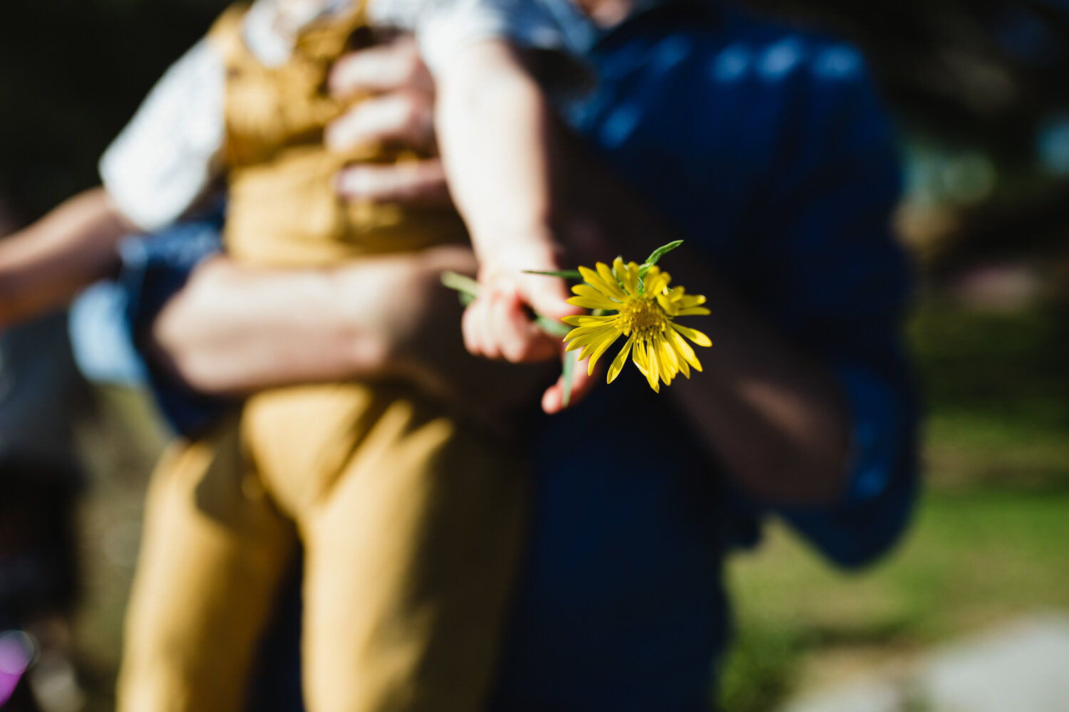 torrey_family_session-18.jpg