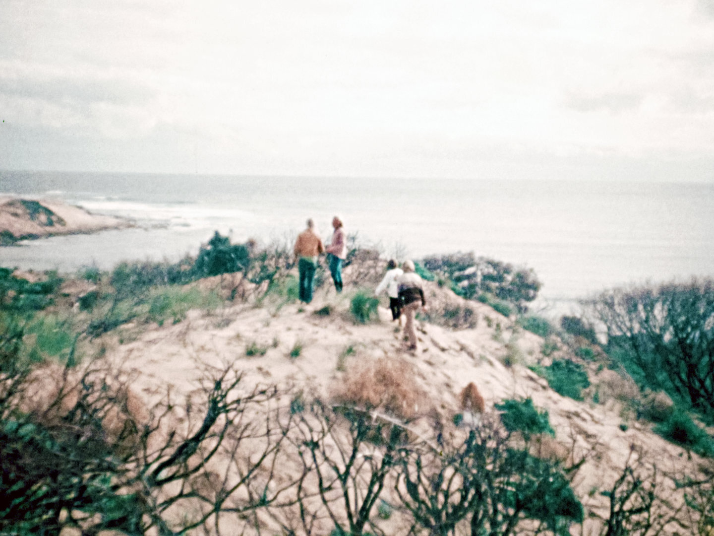 Off The Beaten Track