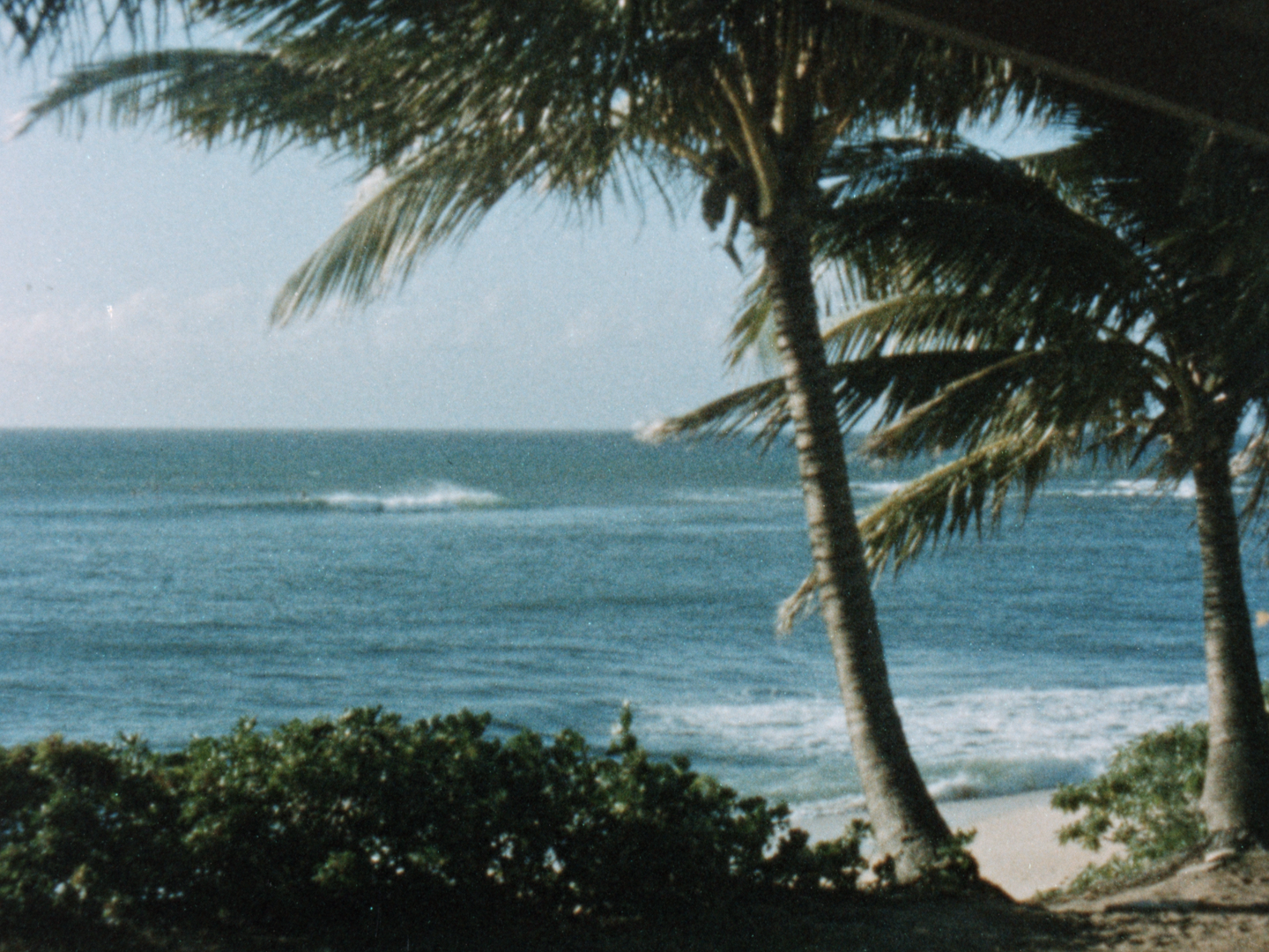 Peter Drouyn's Hawaiian Dream