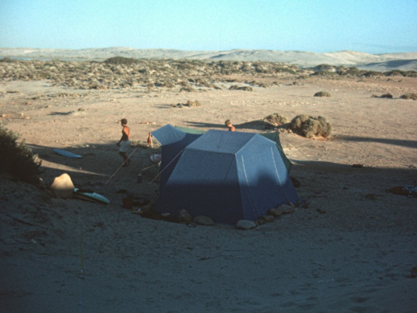 Fly And Blockhead In The Desert