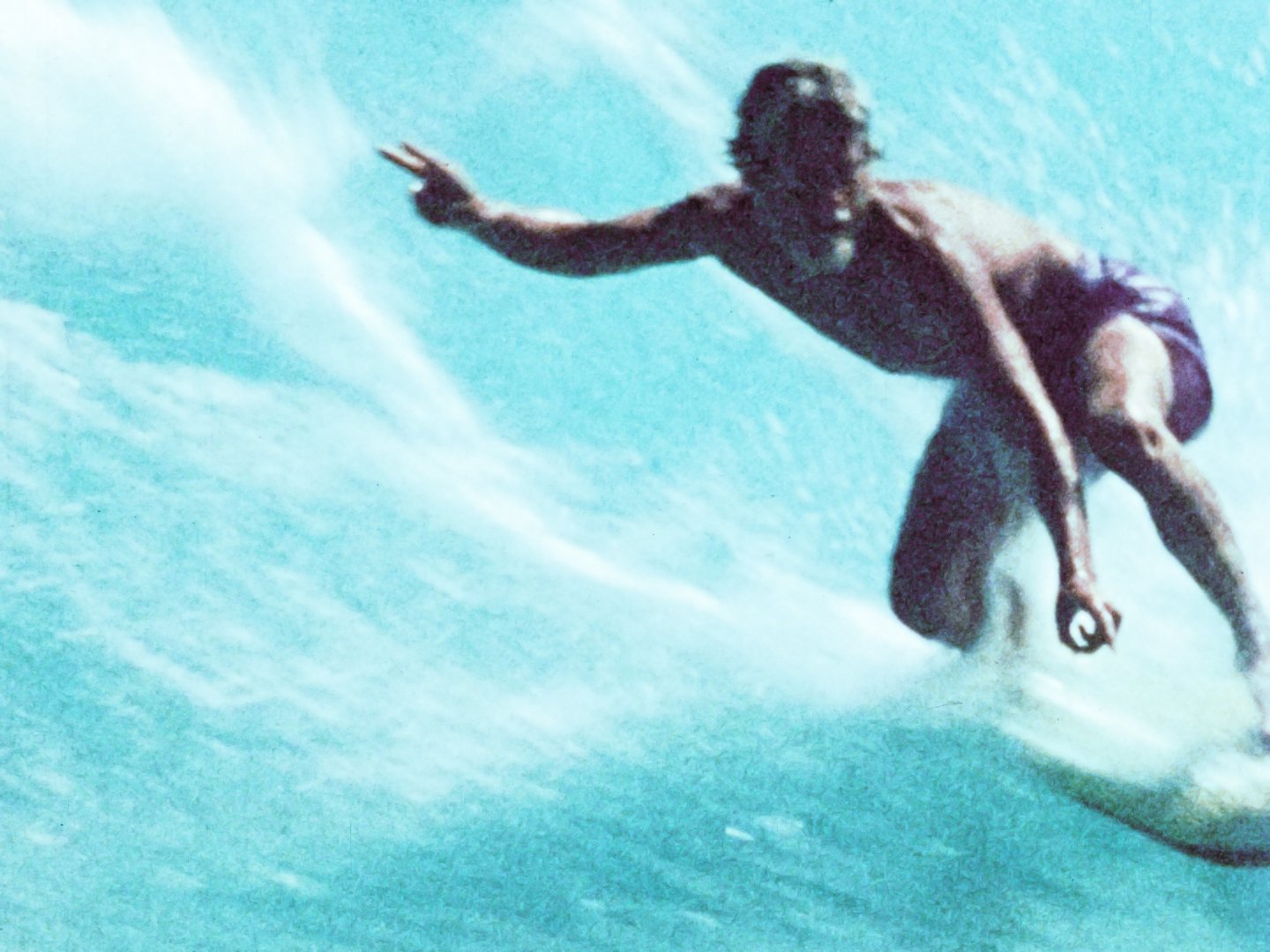 The Surf Film Archive Complete Collection
