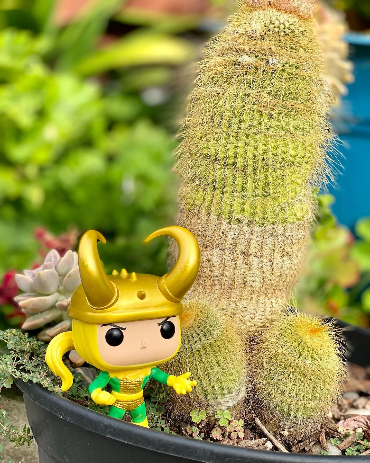 God of Mischief 
Ready for the finale!
@officialloki #Loki #ClassicLoki #Alioth #Funko #funkopopvinyl #funkopop #funkophotography #funkopopcollection