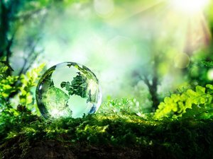 Grounding Through the Shift