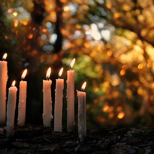 Samhain (500 x 500 px).png