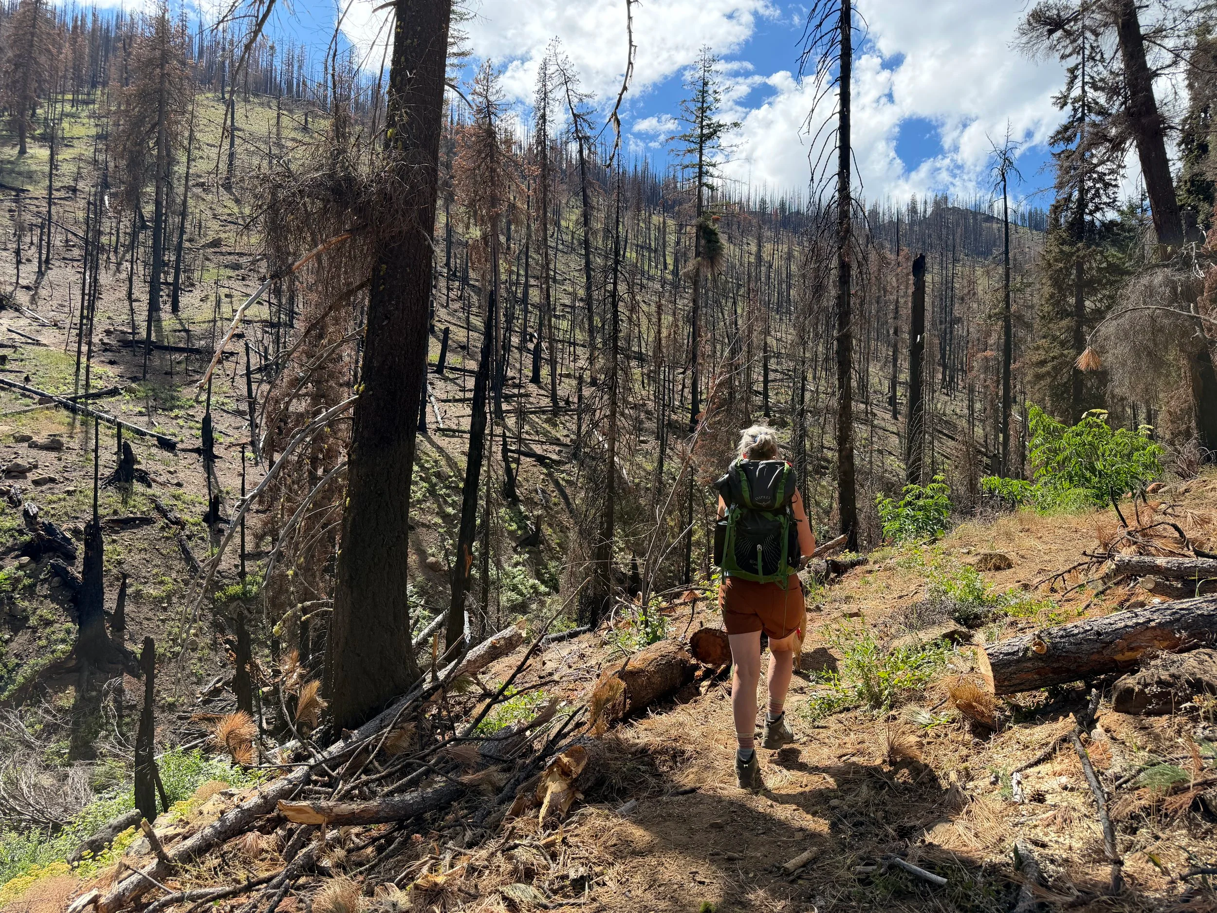 Feeling the Burn in the North Cascades
