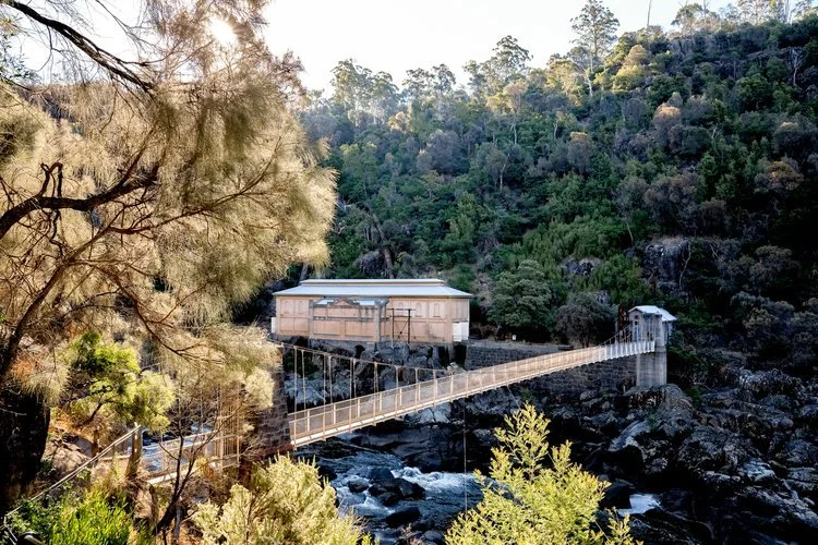 flax_at_duck_reach_cataract_gorge_launceston.jpg
