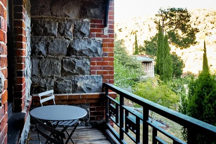 flax_at_duck_reach_verandah.jpg