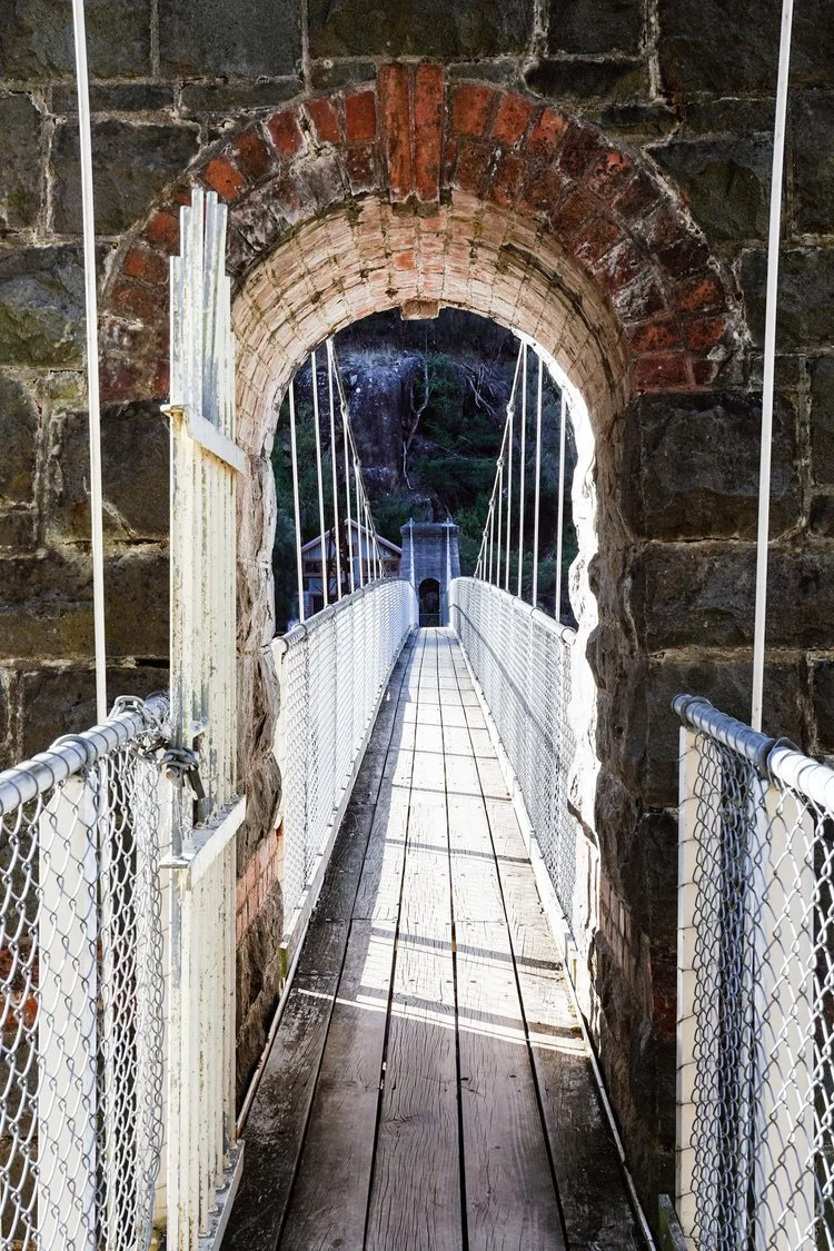 Flax_duck_reach_power_station_launceston.jpg