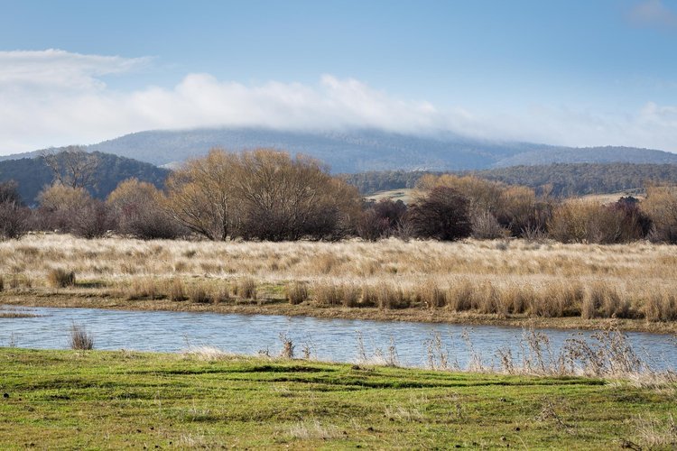 ratho_farm_clyde_river.jpg