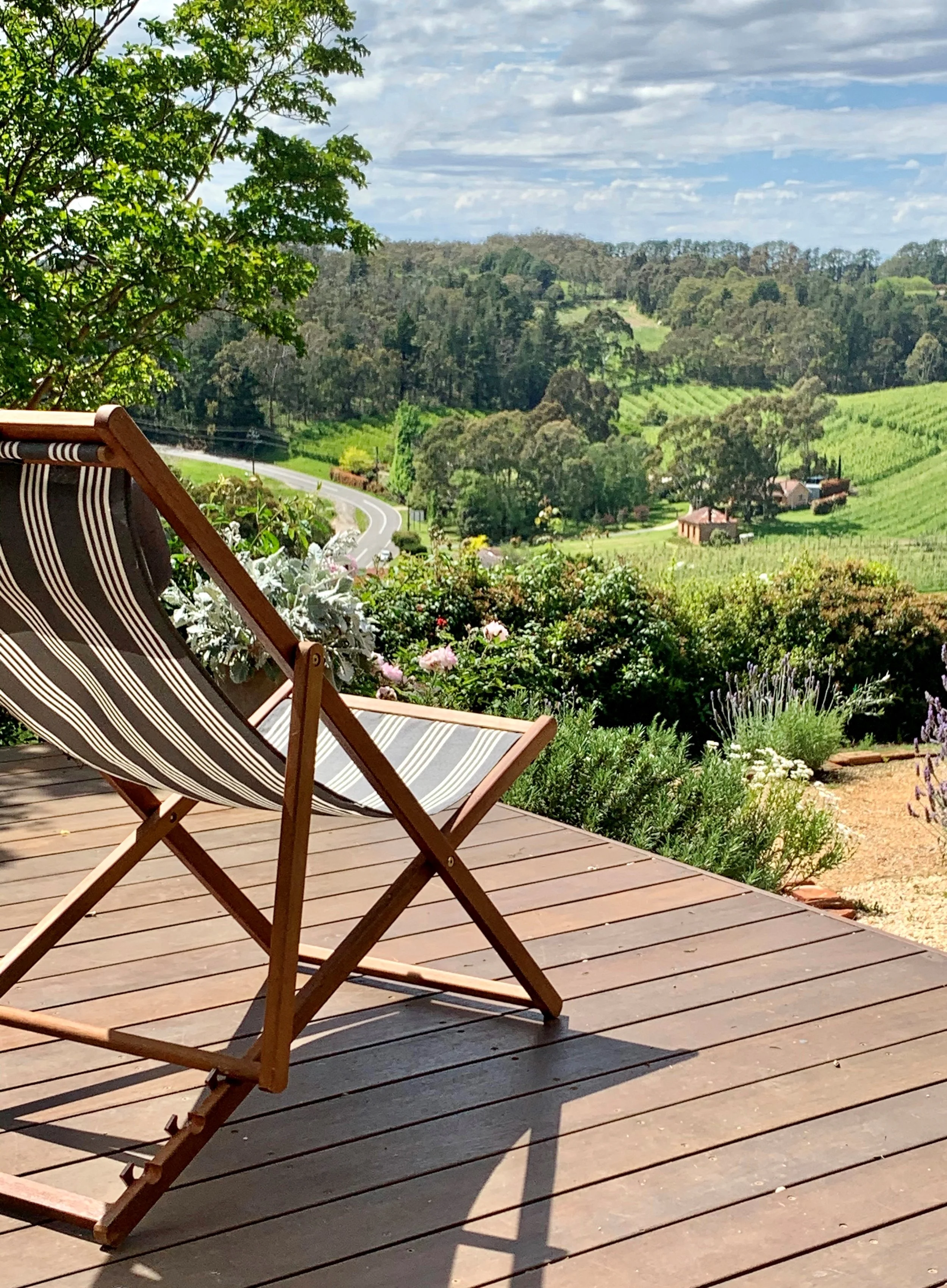 ode_to_the_orchard_views_vineyard_adelaide_hills.jpg