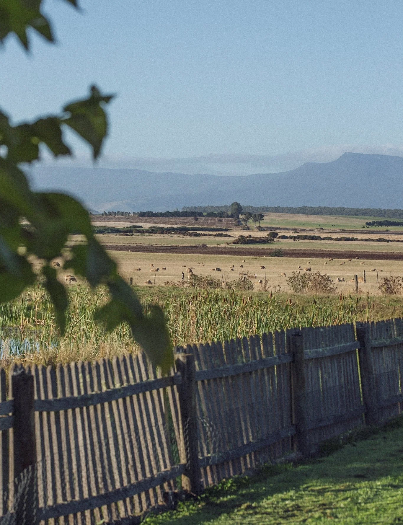 clayfield_homestead_tasmania.jpg