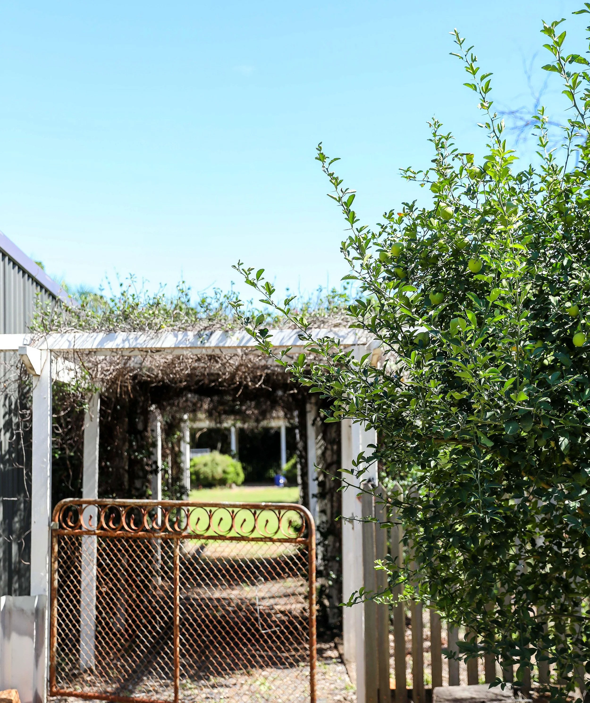 Lady_ethels_house_queensland_garden.jpg