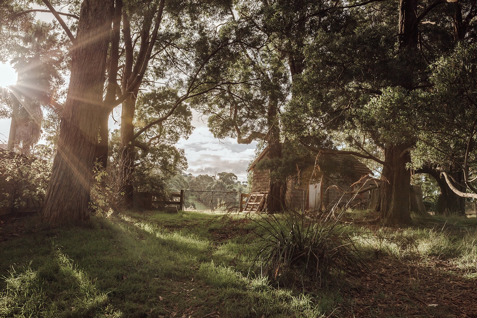 hideaway_farmlet_penguin_tasmania.jpg