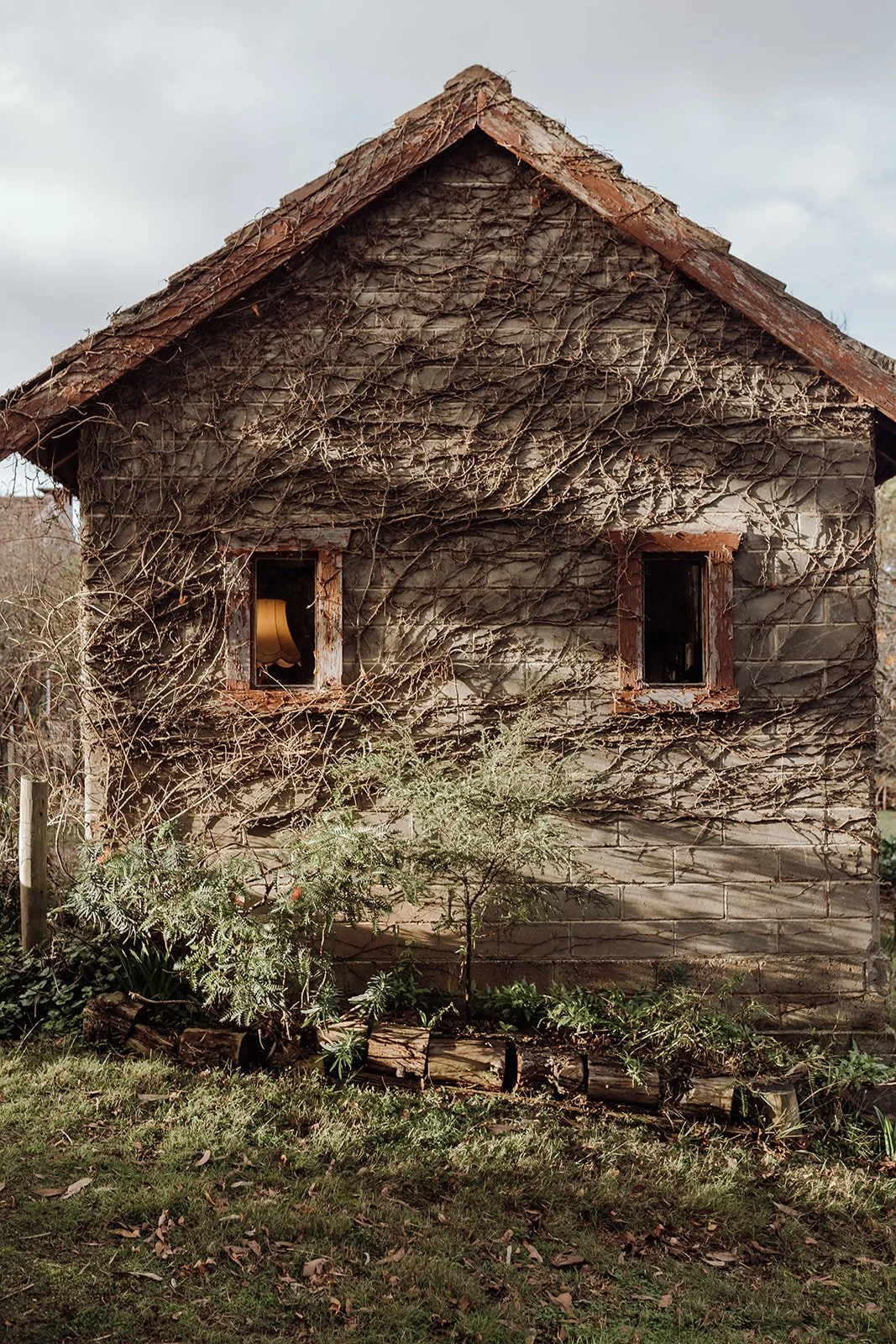 hideaway_farmlet_tasmania_airbnb.jpg
