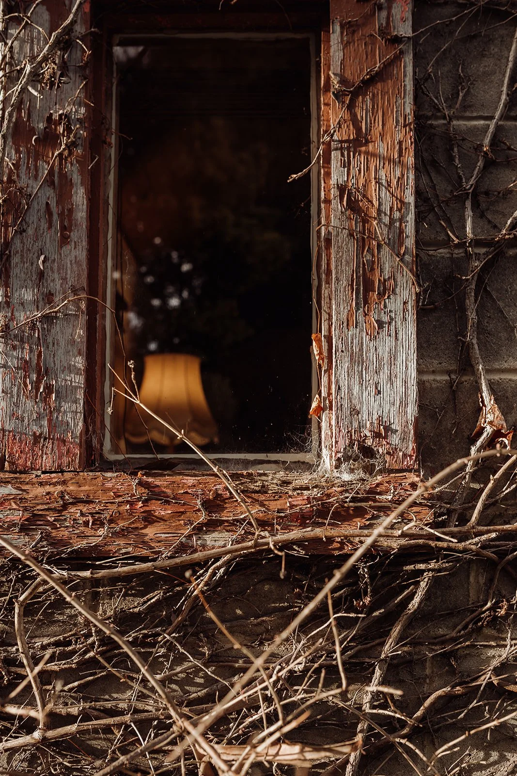 hideaway_farmlet_tasmania_historic_stays.jpg