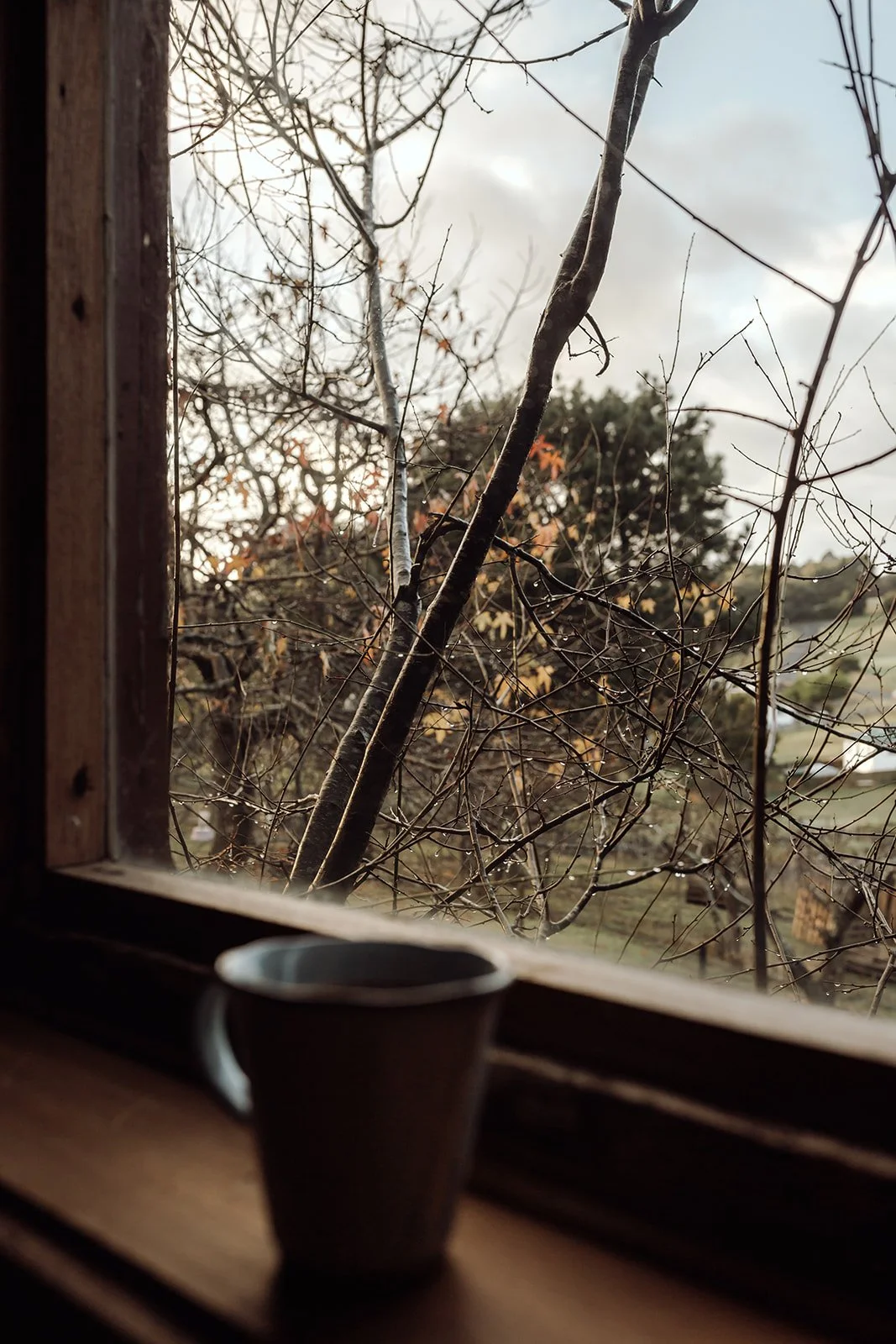 HFB_P0060.jpg