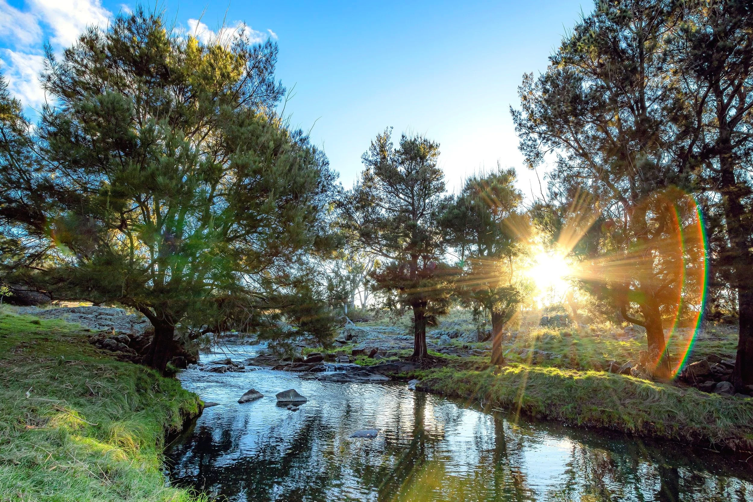 Waterloo+Station+NSW_Historic+Accommodation_Bushland+Creek.jpg