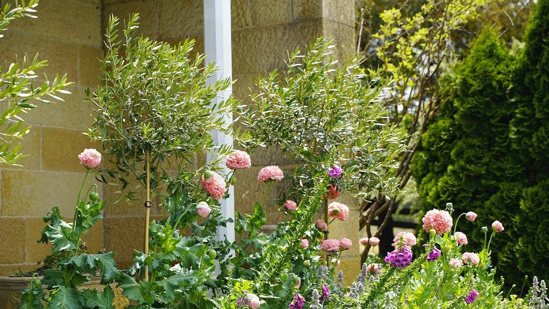 Rathmore+House+garden.jpg