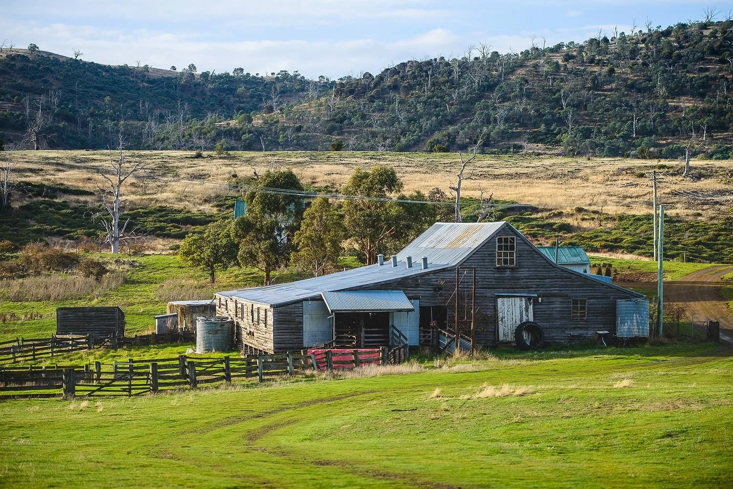 WOOL+SHED+and+function+venue.jpg