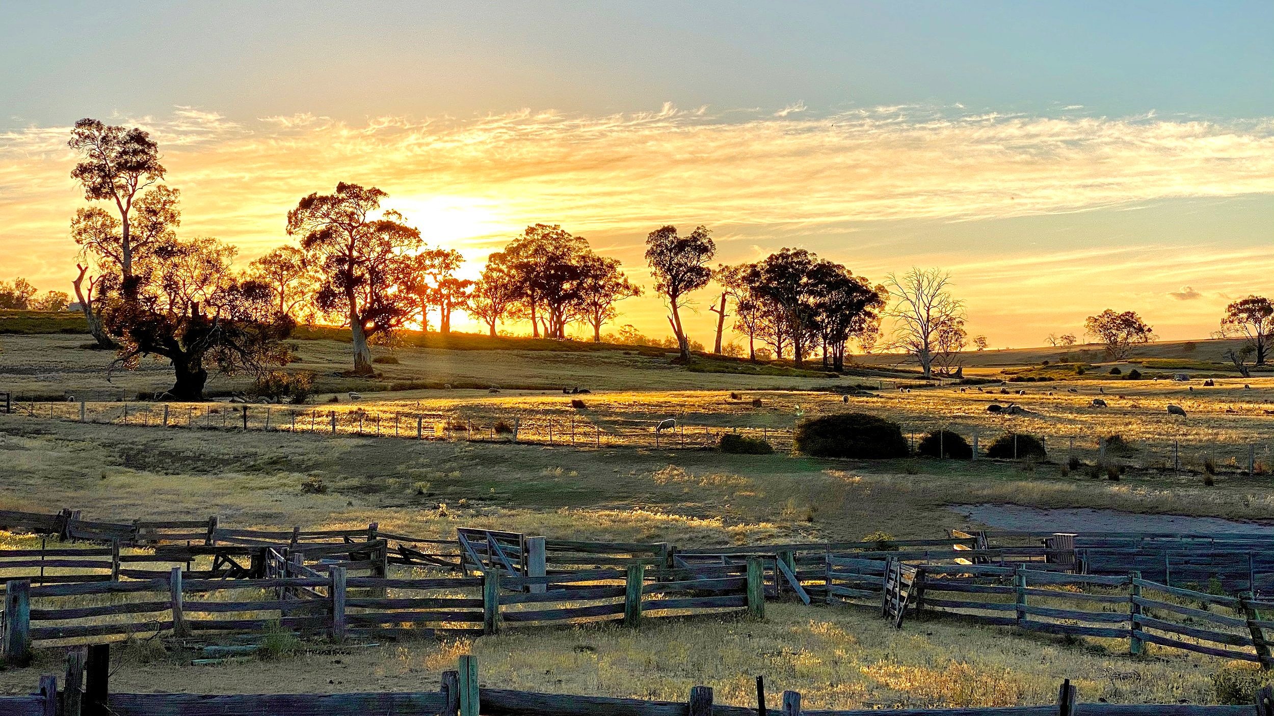 Rathmore+sunset+from+billabong+behind+Shearers+Quarters.jpg