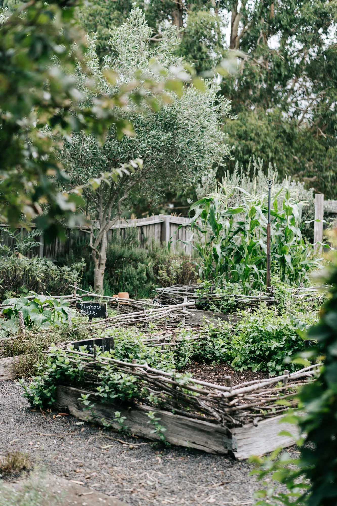 609a57c71239575a74e9144a_garden-1.jpg