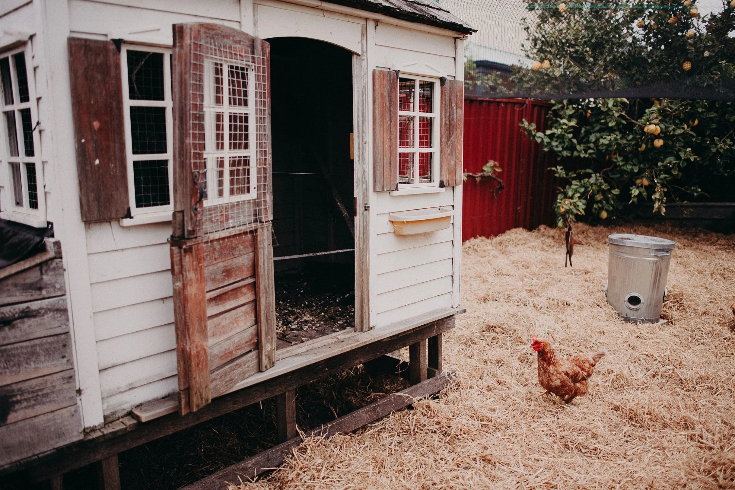theallotment-140.jpg