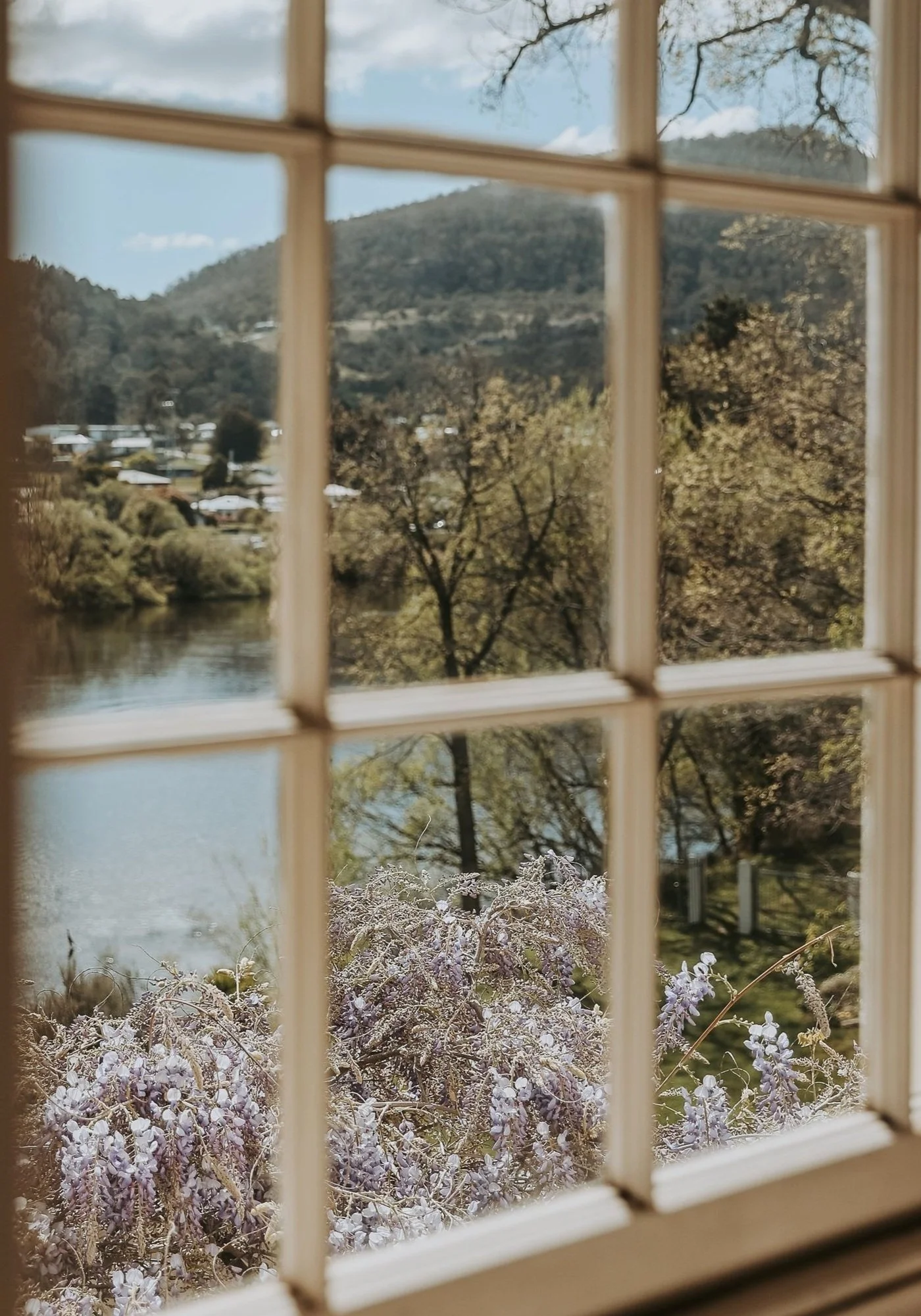 untitled-15%2B%25284%2529.jpg