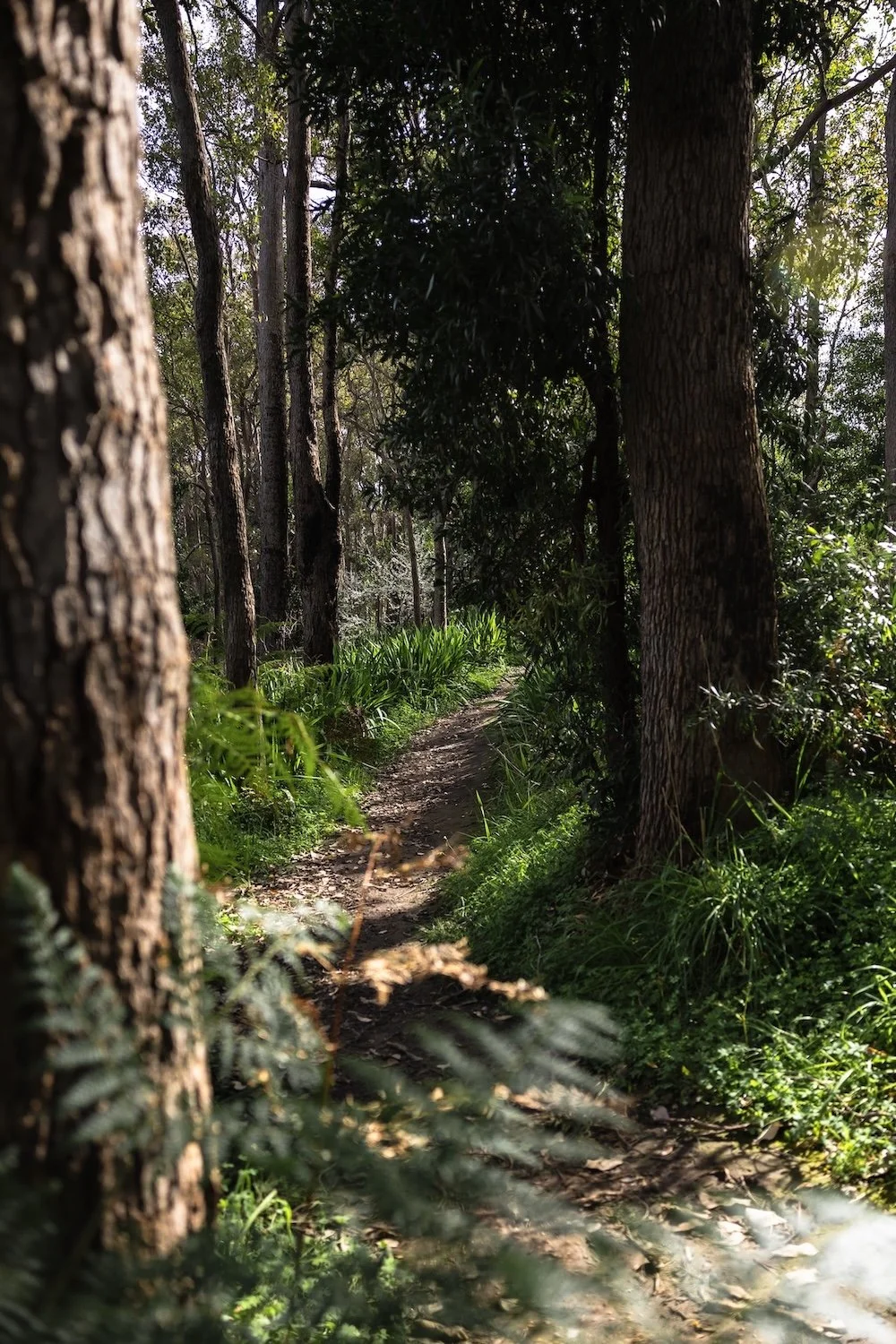 meltphoto_ jpeg-101.jpg