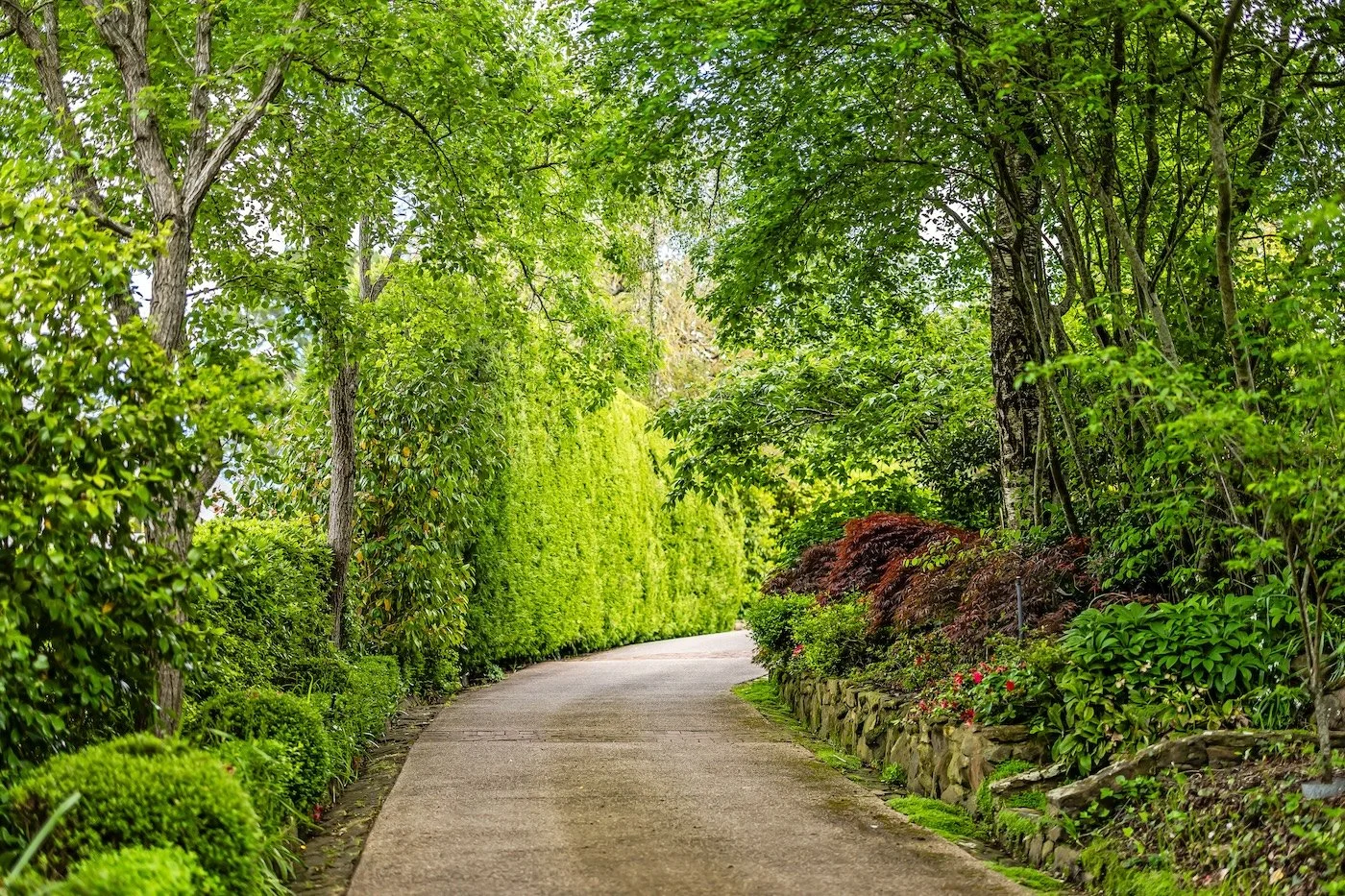 Harris - 16 Birch Road, Stirling-17.jpg