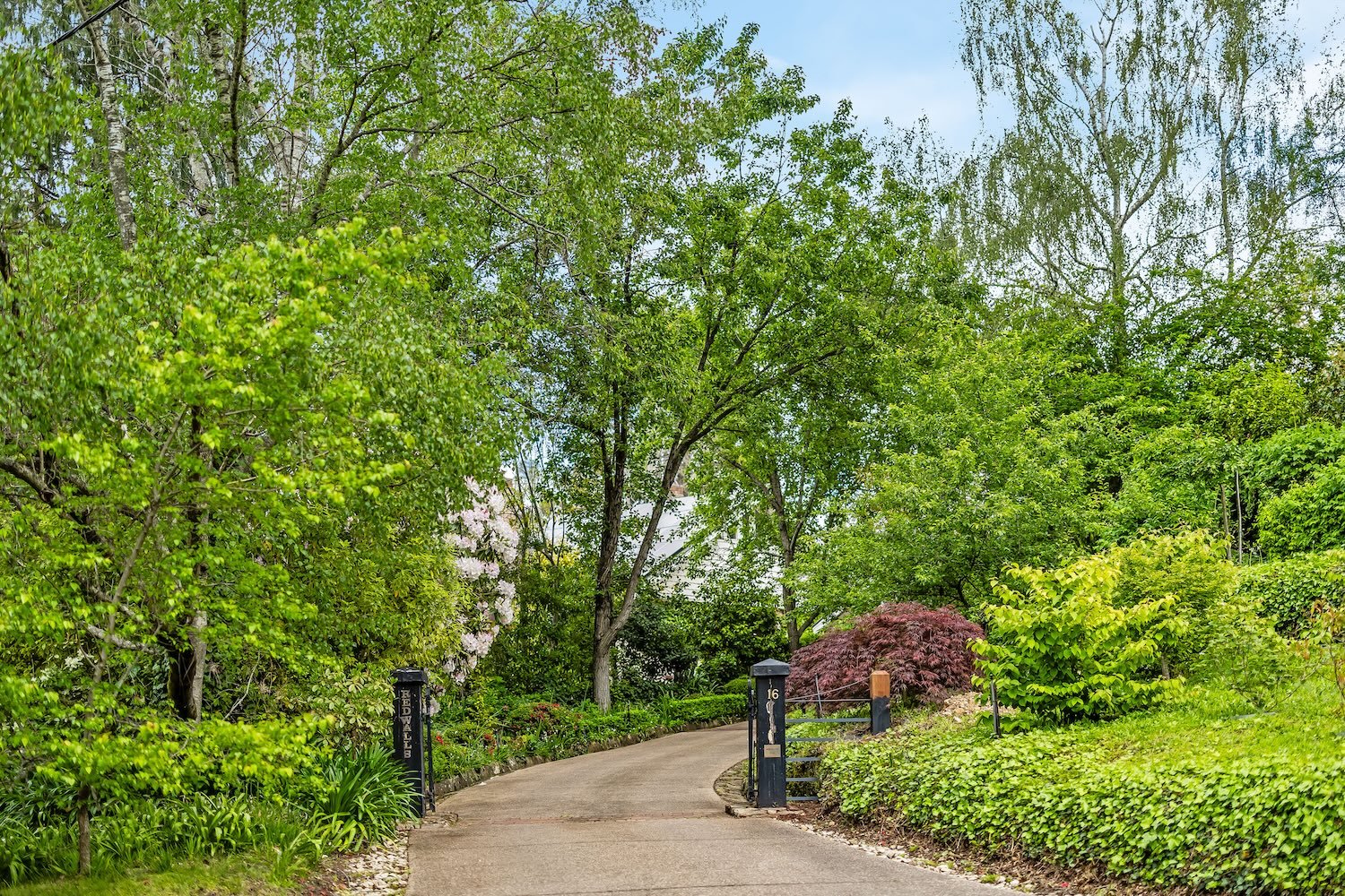 Harris - 16 Birch Road, Stirling-14.jpg