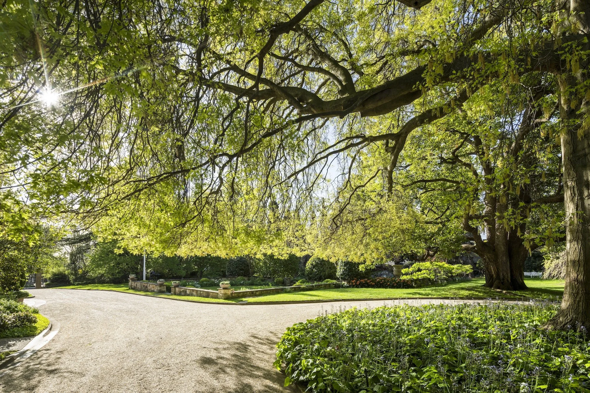 62 CLENDON ROAD, TOORAK-870.jpg