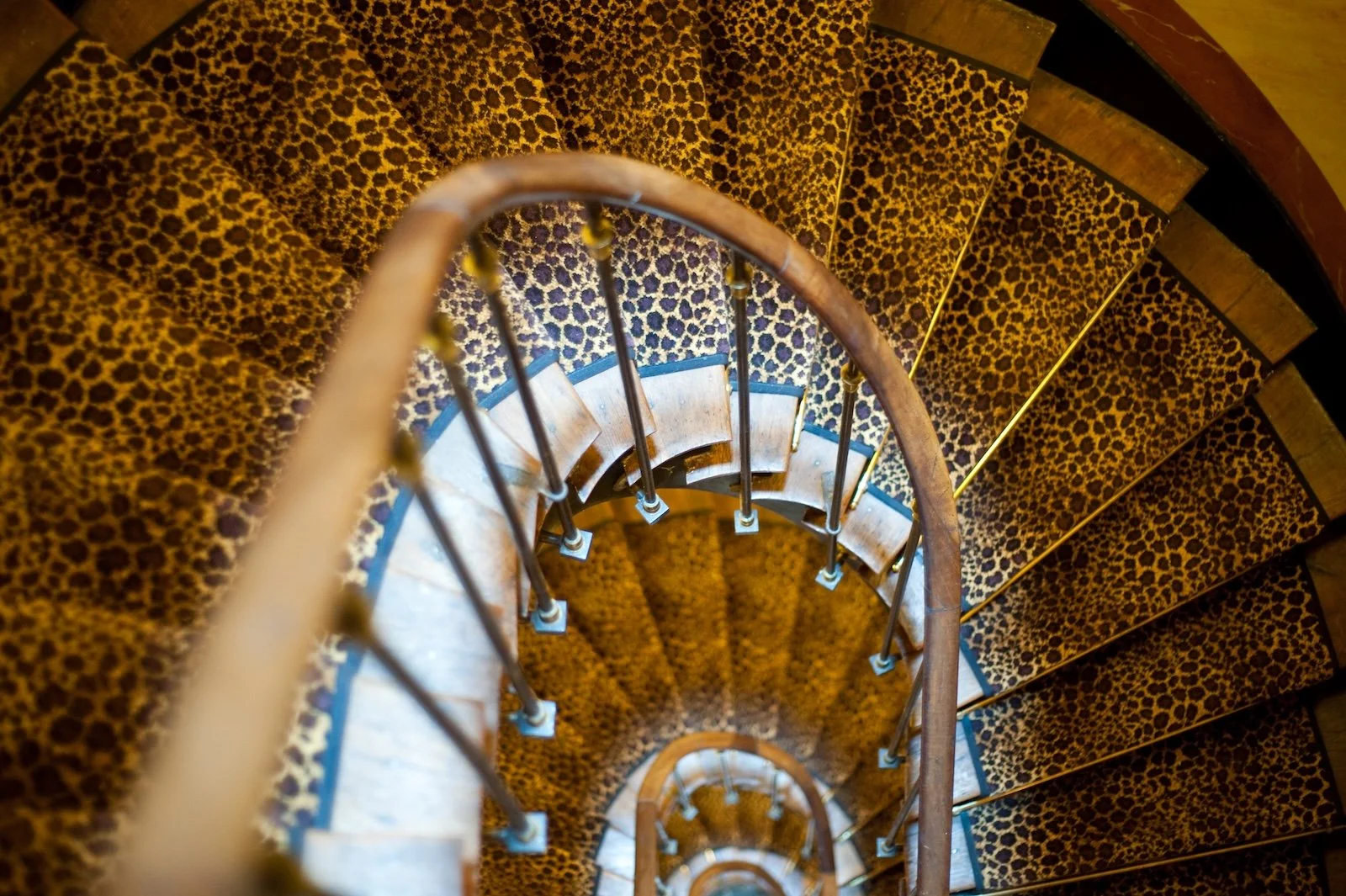 L'Hotel © Amy Murrell 2010-184.jpg