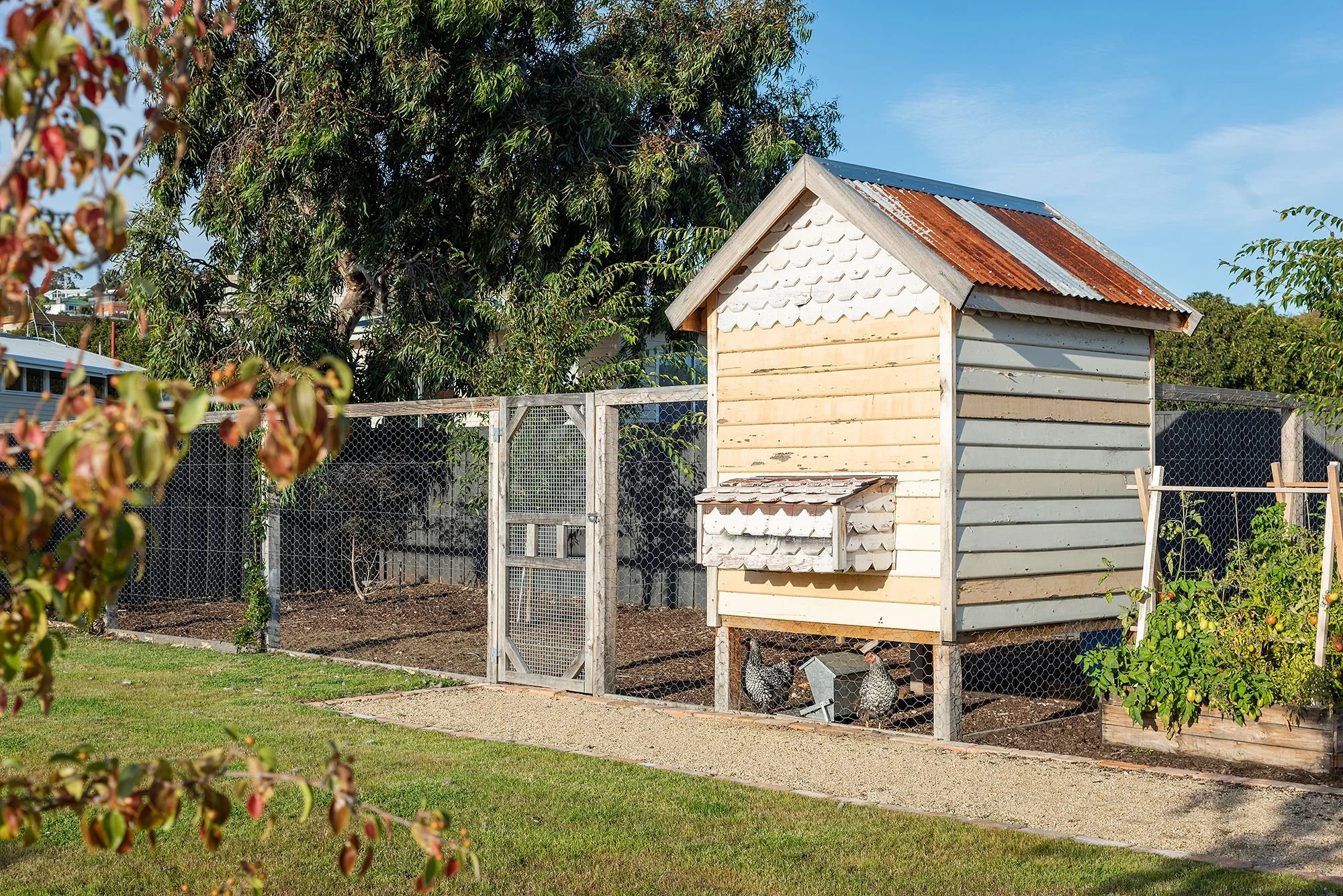 55-cambridge-road-bellerive-tasmania-for-sale-the-home-of-heritage-chicken-coop.jpg