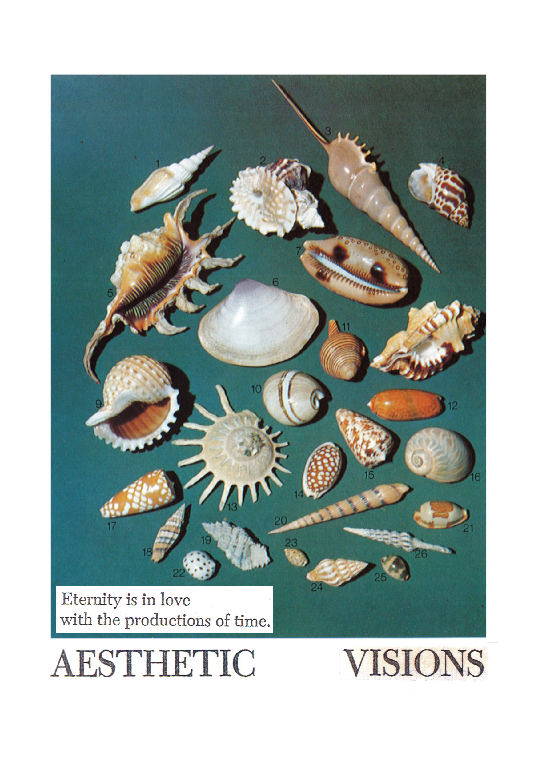 postcard12a_aestheticvisionis.png
