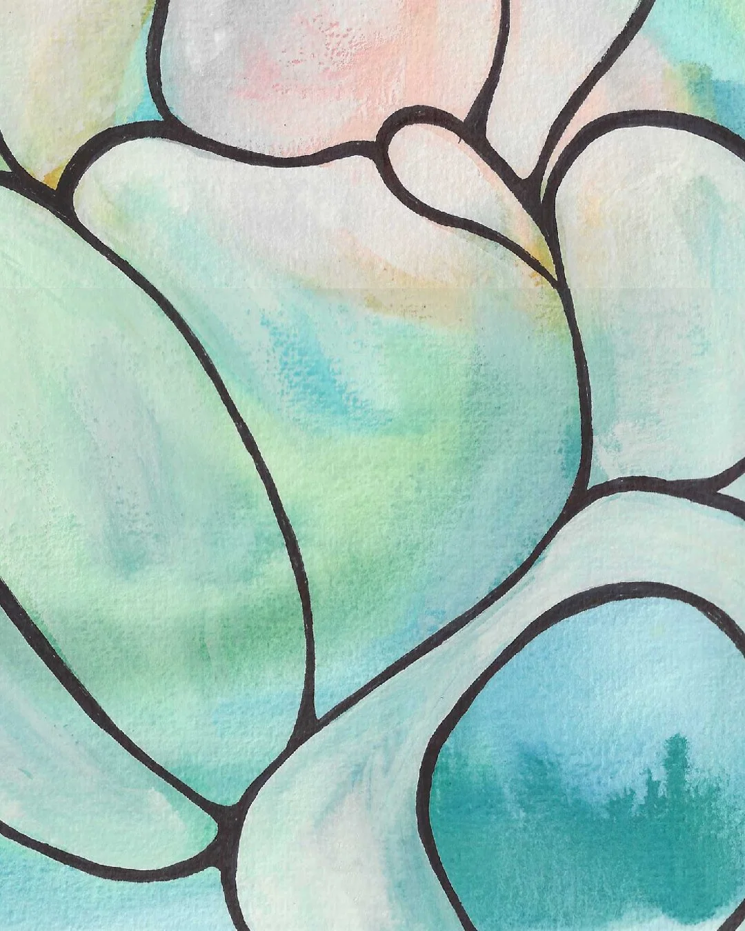 shell_colours.jpg