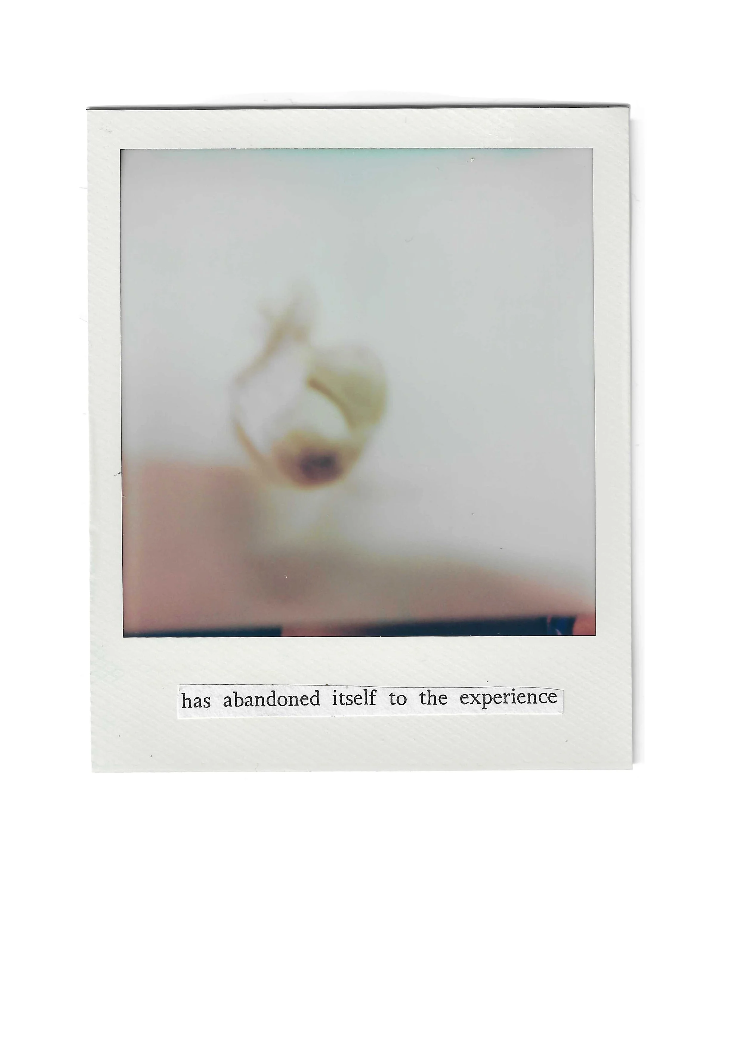 abandoned_itself_to_the_experience.jpg