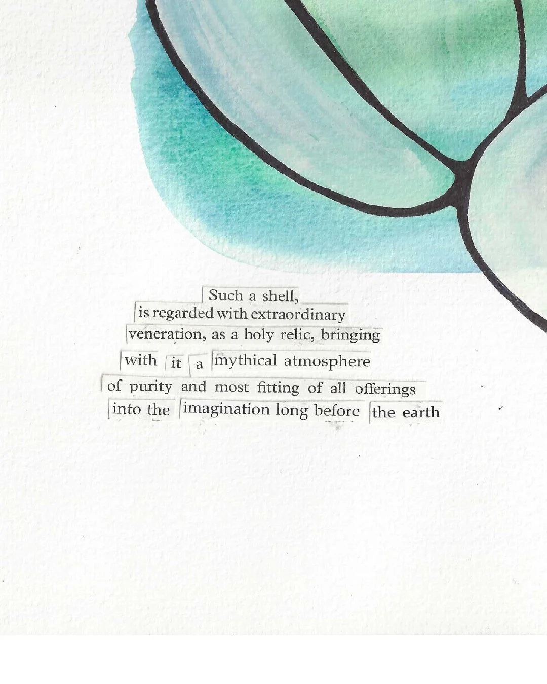 shell_words.jpg