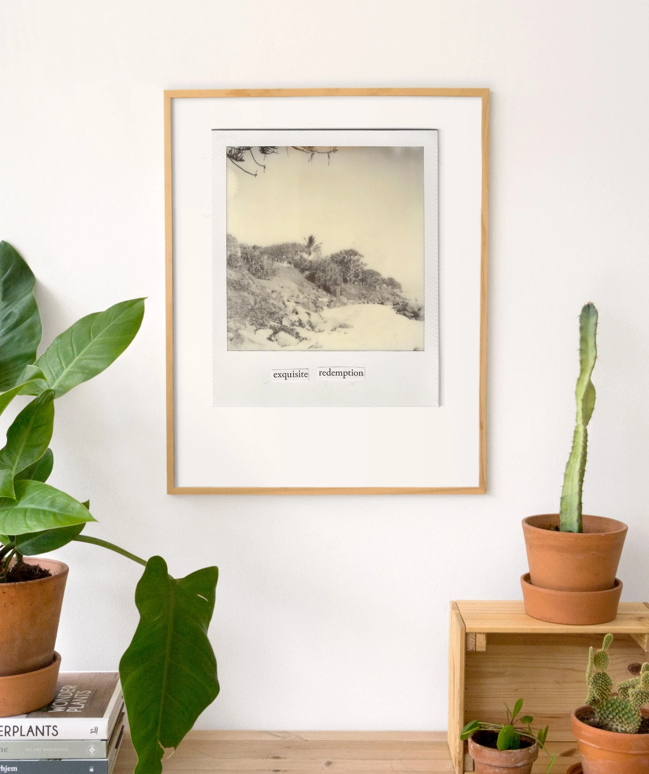 ExquisiteRedemption_cactusFrameMockUp.jpg
