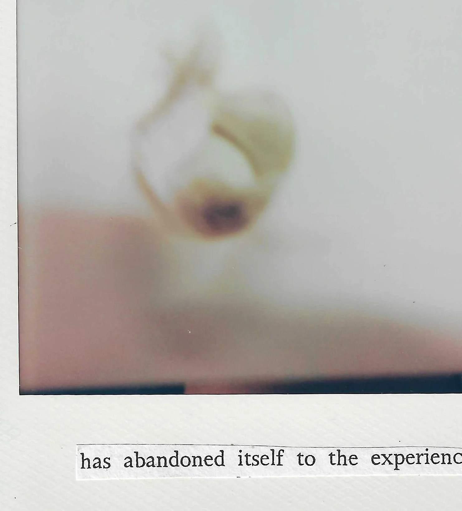 abandoned_itself_to_the_experience_CLOSEUP.jpg