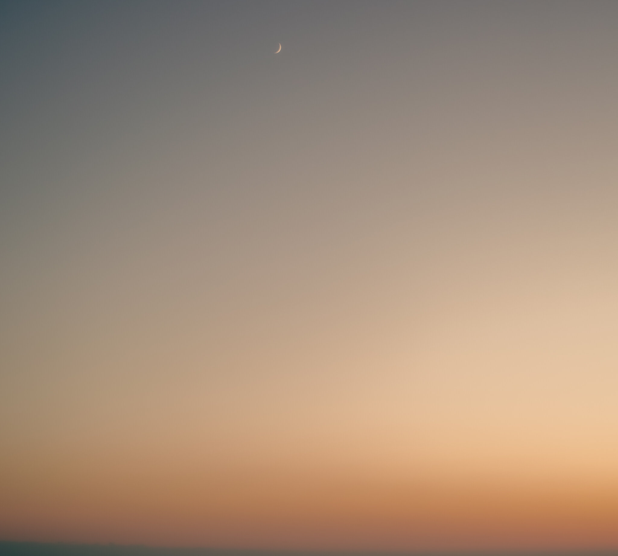 SDIM0695.jpg