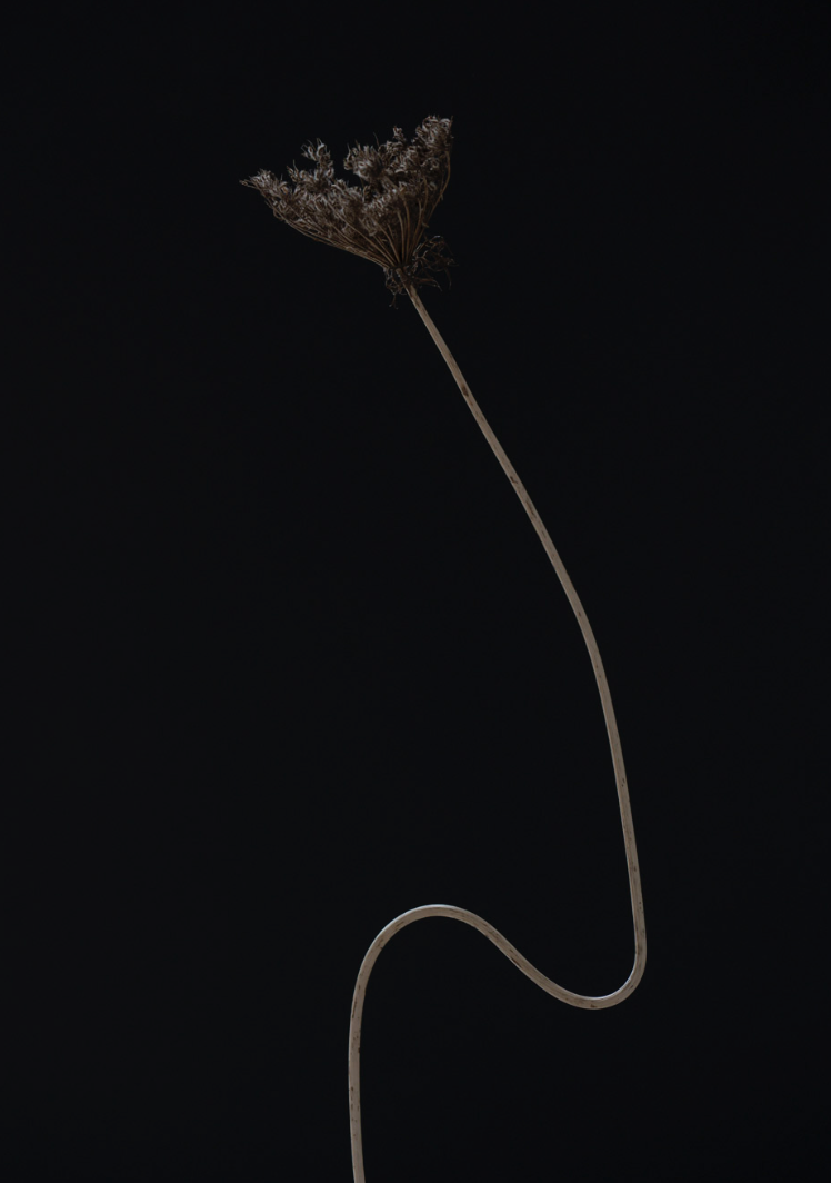 Screen Shot 2023-09-19 at 4.17.56 pm.png