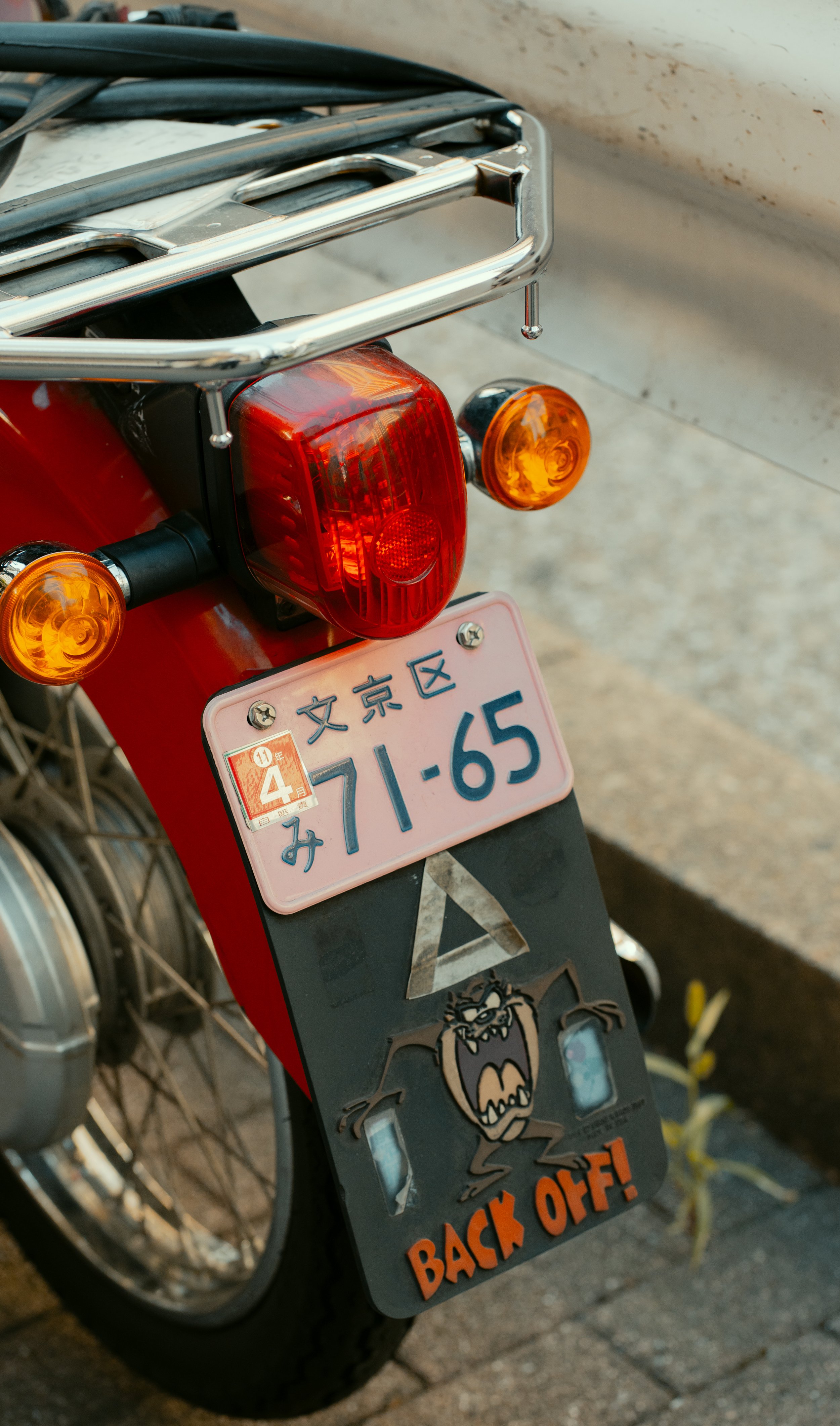 DSC01909.jpg