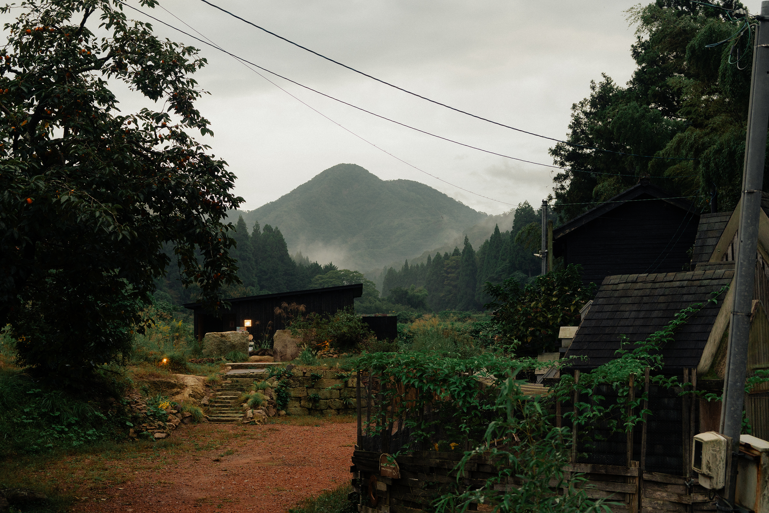 DSC04137.png