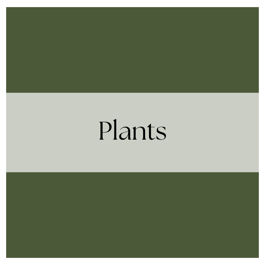 Farmhouse - Navigation site (2).png