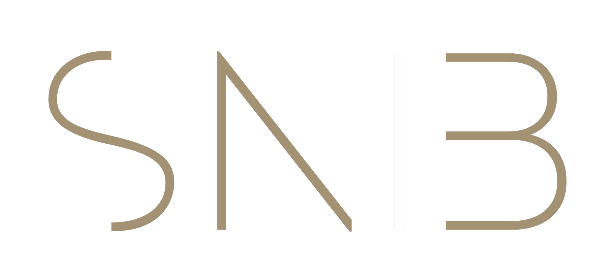 SNIB | Your Assets on the Blockchain