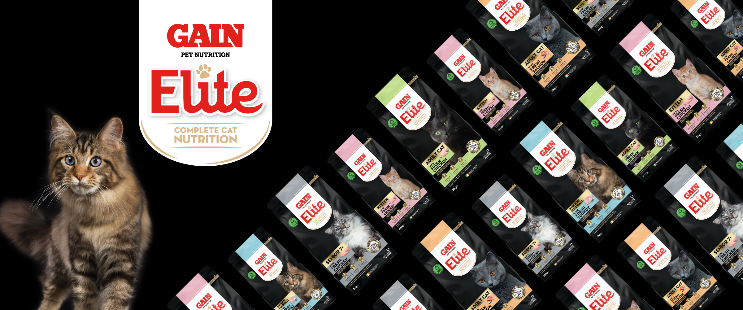 GAIN-Elite-Cat-Range.png