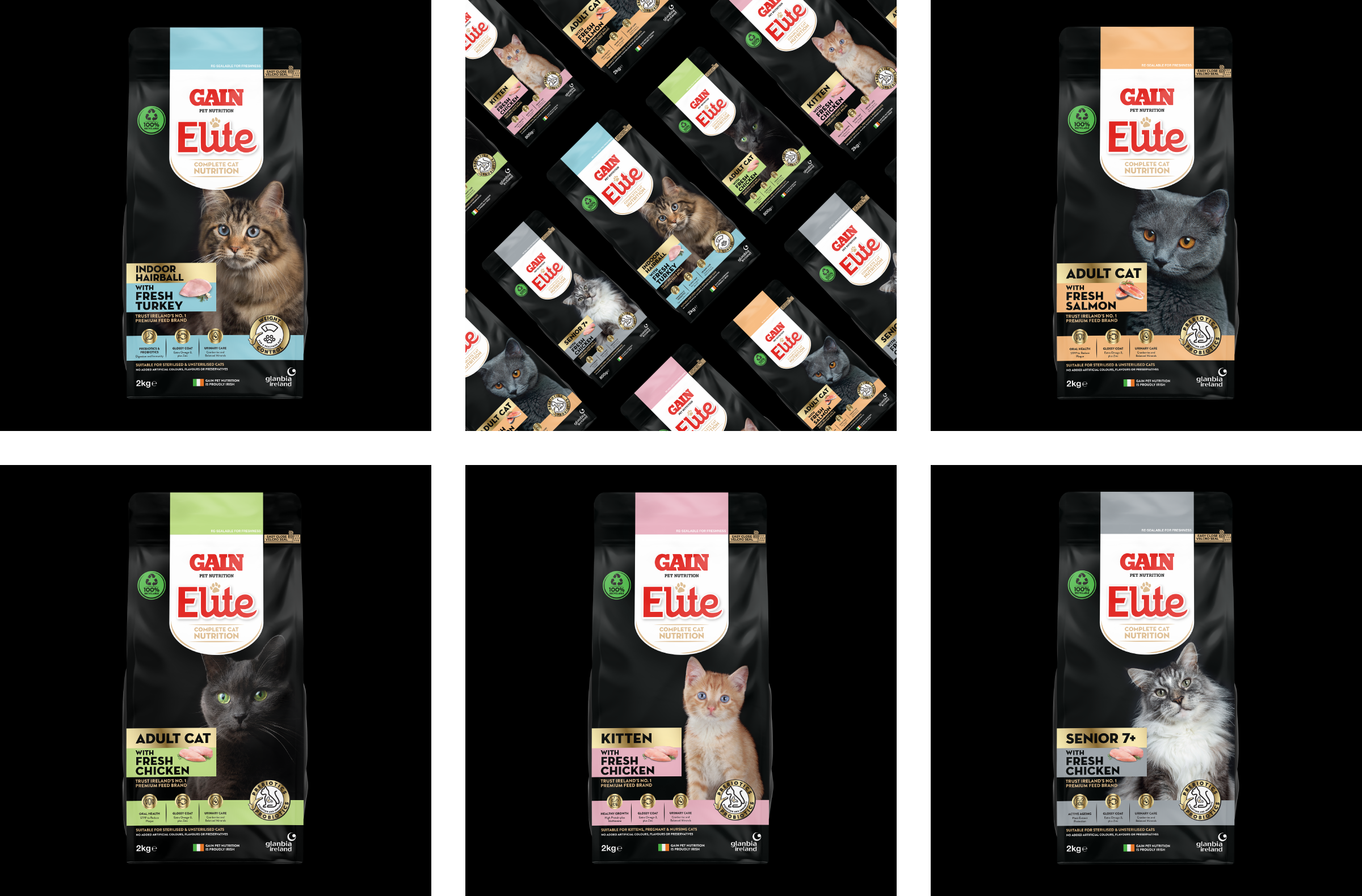 Mesh Design | Brand Identity & Packaging Design — GAIN Elite Cat