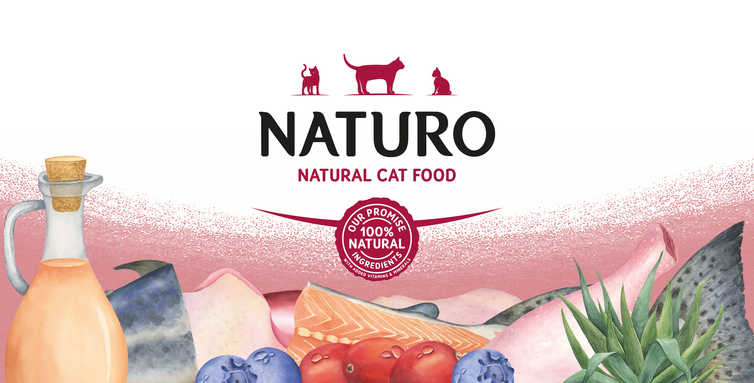 Naturo-Cat-Illustrations.png